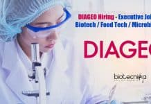 DIAGEO Hiring – Executive Job For Biotech / Food Tech / Microbiology DIAGEO Job