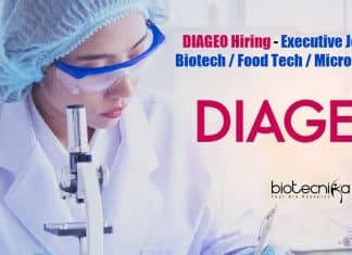 DIAGEO Job