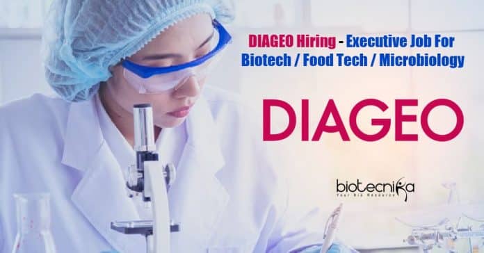 DIAGEO Job