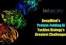 Using DeepMind’s Protein-Folding AI For Predicting Structures Of Complex Proteins DeepMind's protein-folding AI