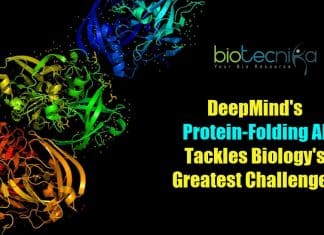 DeepMind's protein-folding AI