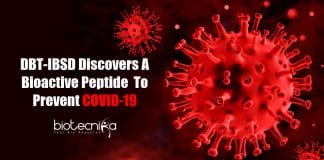 potential biomolecule to prevent COVID-19