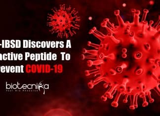 potential biomolecule to prevent COVID-19