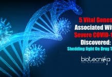Researchers Discover Vital Genes