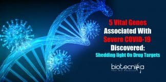 Researchers Discover Vital Genes