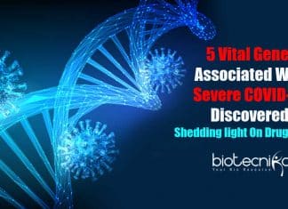 Researchers Discover Vital Genes
