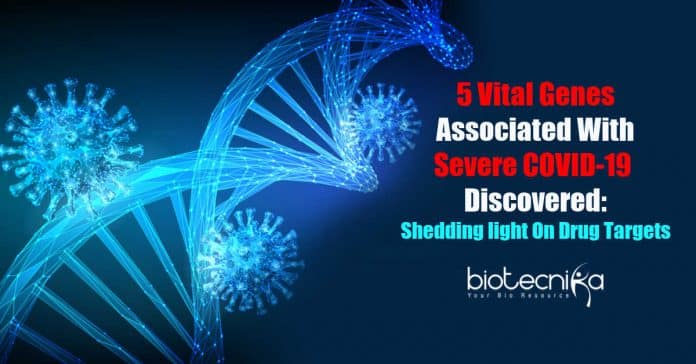 Researchers Discover Vital Genes
