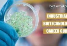 Industrial Biotechnology Career Guide Career Prospects of Industrial Biotechnology