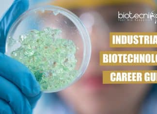  Career Prospects of Industrial Biotechnology