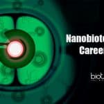 Nanobiotechnology career