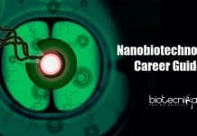 How & Why To Build A Career In Nanobiotechnology? Complete Details Inside Nanobiotechnology career