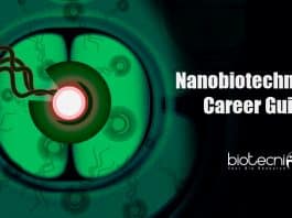 Nanobiotechnology career