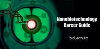 Nanobiotechnology career