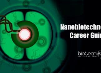 Nanobiotechnology career