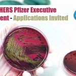 Freshers Pfizer Executive Recruitment