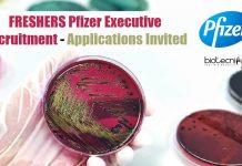FRESHERS Pfizer Executive Recruitment – Applications Invited Freshers Pfizer Executive Recruitment