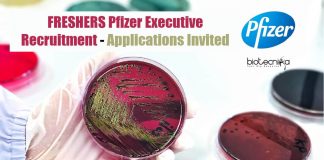 Freshers Pfizer Executive Recruitment