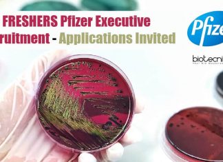 Freshers Pfizer Executive Recruitment