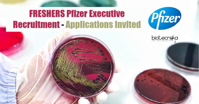Freshers Pfizer Executive Recruitment