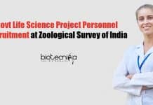 Govt Life Science Project Personnel Recruitment at Zoological Survey of India Govt Life Science Project