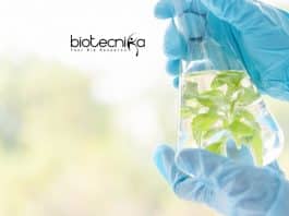 Hyderabad University Plant Science