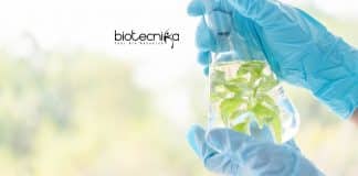 Hyderabad University Plant Science