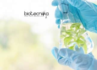 Hyderabad University Plant Science