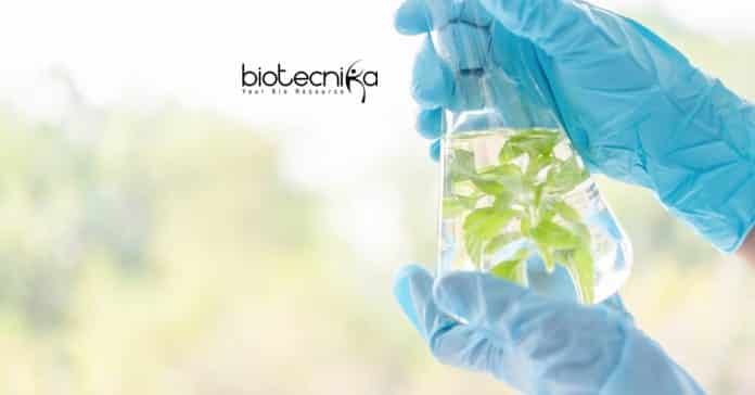Hyderabad University Plant Science