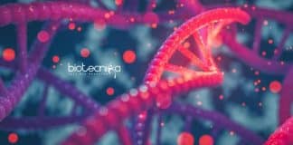 ICAR-IARI Genetics