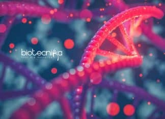 ICAR-IARI Genetics