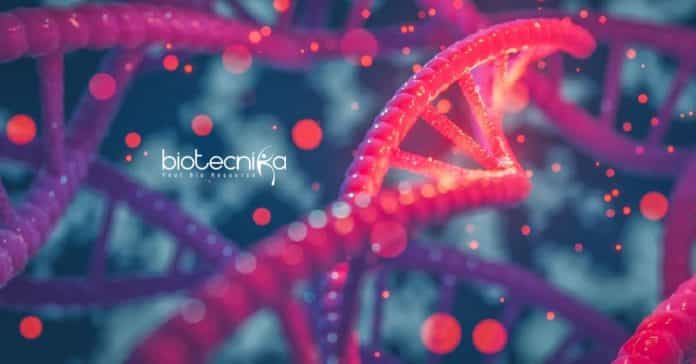 ICAR-IARI Genetics