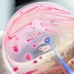 ICAR-IISS Microbiology