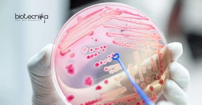 ICAR-IISS Microbiology