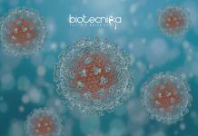 ICAR-IVRI Tumors Project Recruitment – Junior Research Fellow Job ICAR-IVRI JRF Jobs