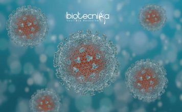 ICAR-IVRI Tumors Project Recruitment – Junior Research Fellow Job ICAR-IVRI JRF Jobs