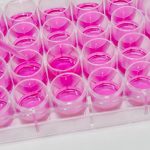 ICAR-IVRI Recruitment