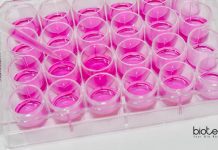 ICAR-IVRI Recruitment – Life Science/ Biotech/ Biochem Apply ICAR-IVRI Recruitment