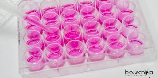 ICAR-IVRI Recruitment