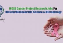 ICGEB Project Research Jobs