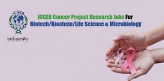 ICGEB Project Research Jobs