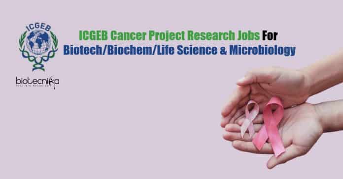 ICGEB Project Research Jobs