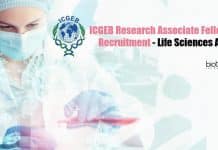 ICGEB Research Associate Fellowship