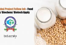 ICT Mumbai Project Fellow Job – Food Tech/ Biochem/ Biotech Apply ICT Mumbai Project Fellow