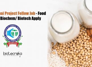 ICT Mumbai Project Fellow