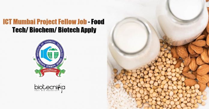 ICT Mumbai Project Fellow