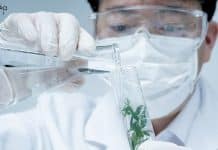 IISER Tirupati Project Fellow/Assistant Jobs – Applications Invited IISER Tirupati Project Fellow