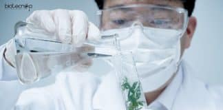 IISER Tirupati Project Fellow