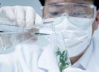 IISER Tirupati Project Fellow
