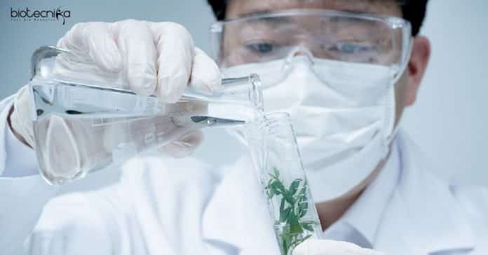 IISER Tirupati Project Fellow