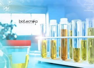 IIT Delhi Biotech &